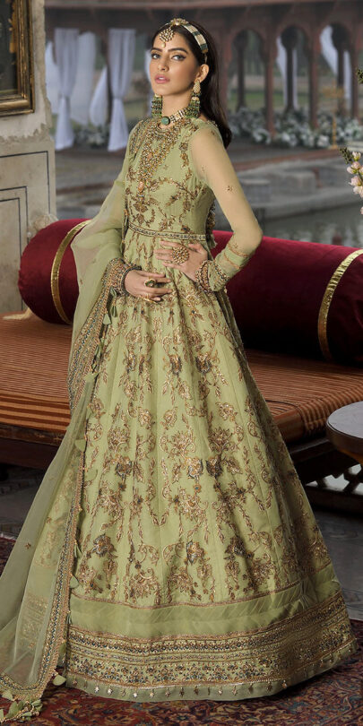 Pakistani Gowns Online in USA ...