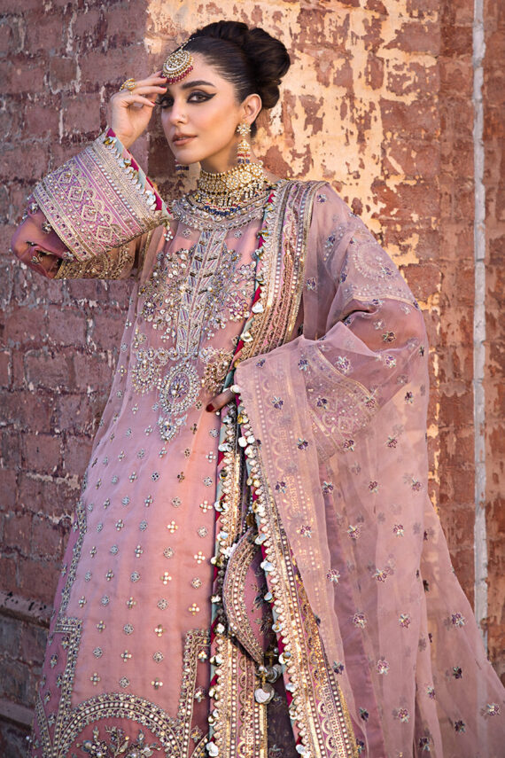 Aarzoo Festive collection 2024